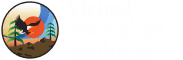 NADACA Virtual Aboriginal Wellness Program